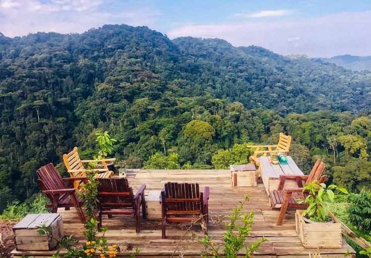 The magic view of the thick Bwindi Impenetrable forest from Nkuringo Bwindi Lodge